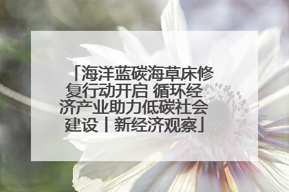 海洋蓝碳海草床修复行动开启 循环经济产业助力低碳社会建设丨新经济观察
