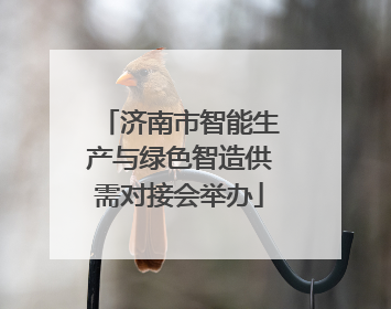 济南市智能生产与绿色智造供需对接会举办