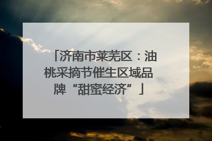 济南市莱芜区：油桃采摘节催生区域品牌“甜蜜经济”