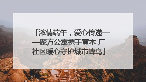 浓情端午，爱心传递——魔方公寓携手黄木 厂社区暖心守护城市蜂鸟