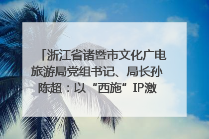 浙江省诸暨市文化广电旅游局党组书记、局长孙陈超：以“西施”IP激活全域旅游 打造县域文旅融合新标杆｜第七届全国县域旅游研究成果发布系列活动