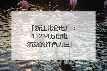 浙江北仑电厂：11234万度电涌动的红色力量