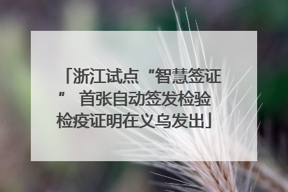 浙江试点“智慧签证” 首张自动签发检验检疫证明在义乌发出