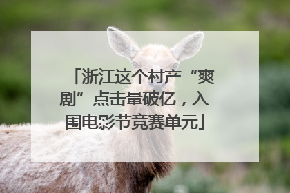 浙江这个村产“爽剧”点击量破亿，入围电影节竞赛单元