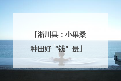 淅川县：小果桑种出好“钱”景