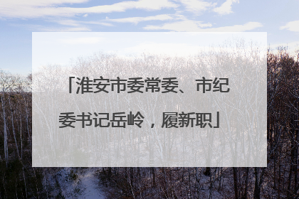 淮安市委常委、市纪委书记岳岭，履新职