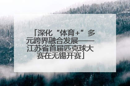 深化“体育+”多元跨界融合发展——江苏省首届匹克球大赛在无锡开赛