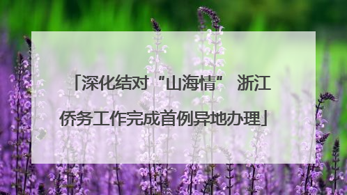 深化结对“山海情” 浙江侨务工作完成首例异地办理