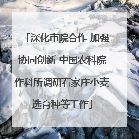 深化市院合作 加强协同创新 中国农科院作科所调研石家庄小麦选育种等工作