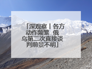 深观察丨各方动作频繁  俄乌第二次直接谈判前景不明