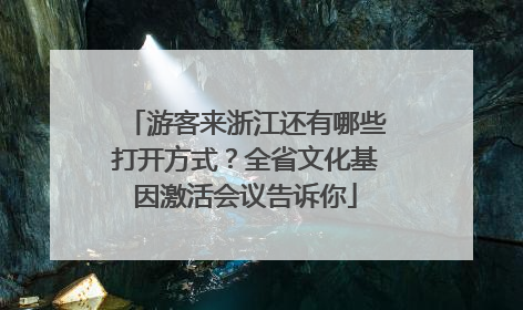 游客来浙江还有哪些打开方式？全省文化基因激活会议告诉你
