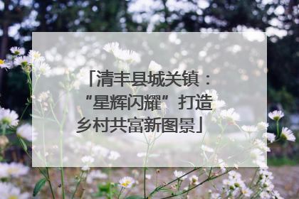 清丰县城关镇：“星辉闪耀”打造乡村共富新图景