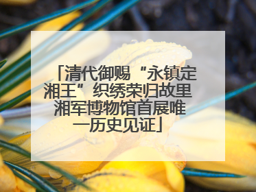 清代御赐“永镇定湘王”织绣荣归故里 湘军博物馆首展唯一历史见证