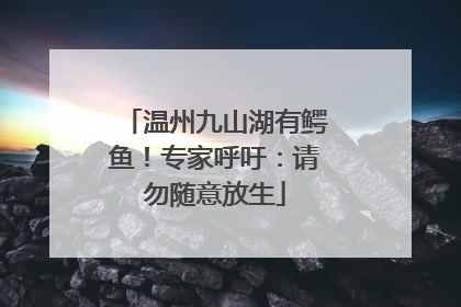 温州九山湖有鳄鱼！专家呼吁：请勿随意放生