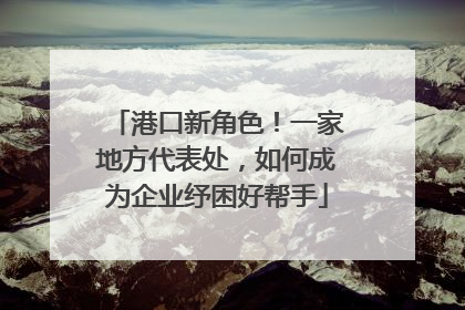 港口新角色！一家地方代表处，如何成为企业纾困好帮手