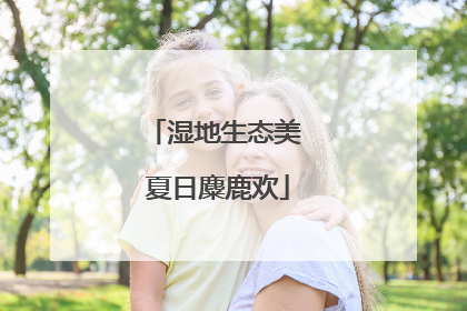 湿地生态美 夏日麋鹿欢