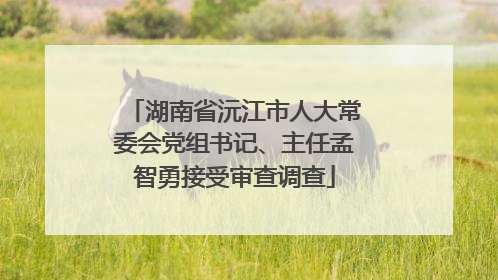 湖南省沅江市人大常委会党组书记、主任孟智勇接受审查调查
