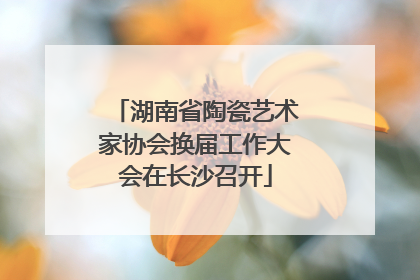 湖南省陶瓷艺术家协会换届工作大会在长沙召开
