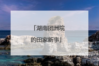 湖南团洲垸的田家新事