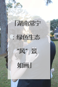 湖南常宁：绿色生态 “风”景如画