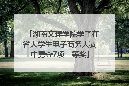湖南文理学院学子在省大学生电子商务大赛中勇夺7项一等奖