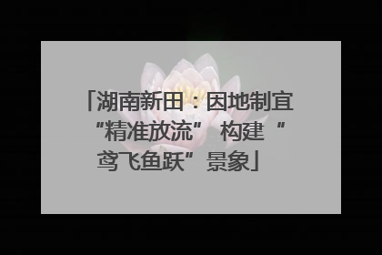 湖南新田：因地制宜“精准放流” 构建“鸢飞鱼跃”景象