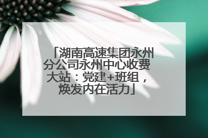 湖南高速集团永州分公司永州中心收费大站：党建+班组，焕发内在活力