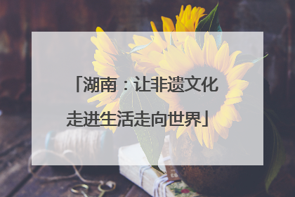湖南：让非遗文化走进生活走向世界
