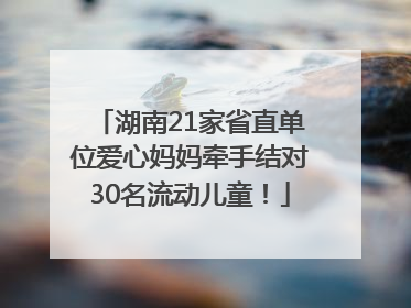 湖南21家省直单位爱心妈妈牵手结对30名流动儿童！