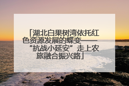 湖北白果树湾依托红色资源发展的蝶变——“抗战小延安”走上农旅融合振兴路