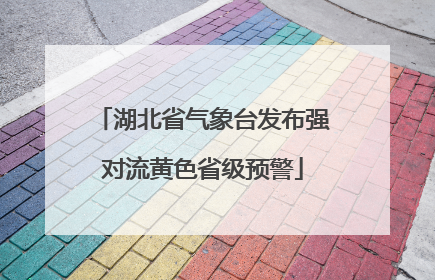 湖北省气象台发布强对流黄色省级预警
