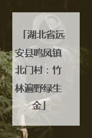 湖北省远安县鸣凤镇北门村：竹林遍野绿生金