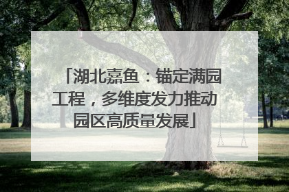 湖北嘉鱼：锚定满园工程，多维度发力推动园区高质量发展