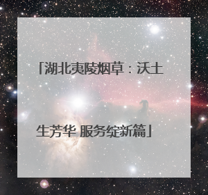 湖北夷陵烟草：沃土生芳华 服务绽新篇