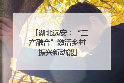 湖北远安：“三产融合”激活乡村振兴新动能