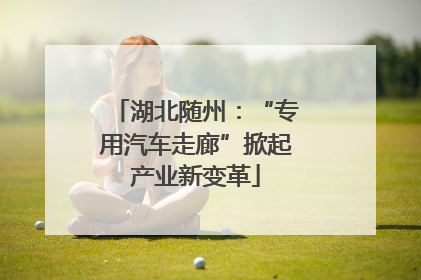 湖北随州：“专用汽车走廊”掀起产业新变革