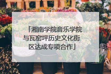 湘南学院音乐学院与瓦窑坪历史文化街区达成专项合作