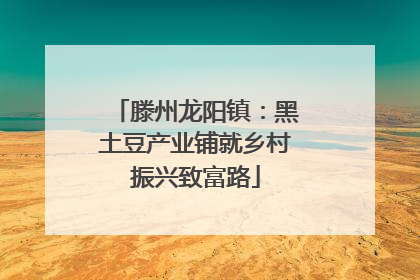 滕州龙阳镇：黑土豆产业铺就乡村振兴致富路