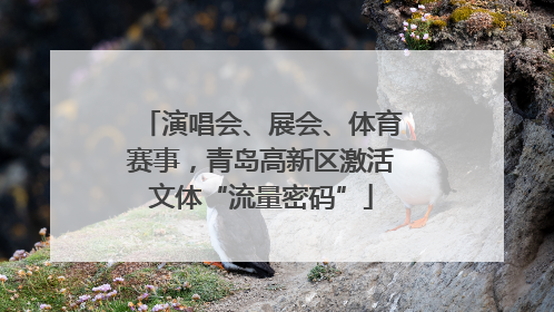 演唱会、展会、体育赛事，青岛高新区激活文体“流量密码”