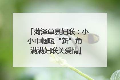 菏泽单县妇联：小小巾帼暖“新”角 满满妇联关爱情