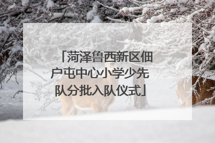 菏泽鲁西新区佃户屯中心小学少先队分批入队仪式