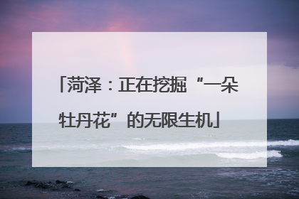 菏泽：正在挖掘“一朵牡丹花”的无限生机