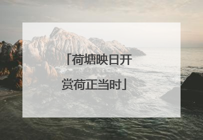 荷塘映日开 赏荷正当时