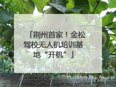 荆州首家！金松驾校无人机培训基地“开机”