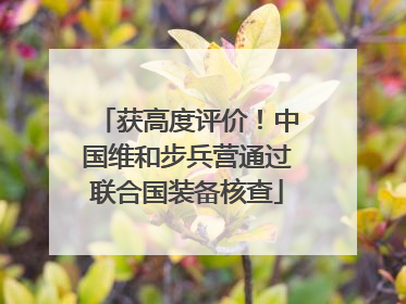 获高度评价！中国维和步兵营通过联合国装备核查