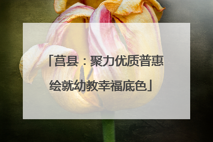 莒县：聚力优质普惠 绘就幼教幸福底色