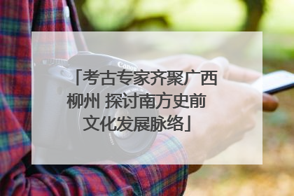 考古专家齐聚广西柳州 探讨南方史前文化发展脉络