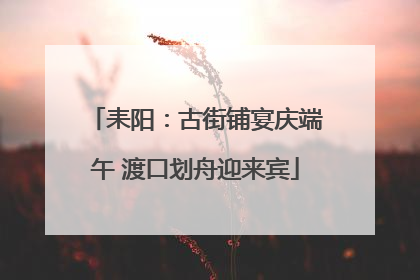 耒阳：古街铺宴庆端午 渡口划舟迎来宾