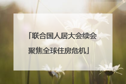 联合国人居大会续会聚焦全球住房危机