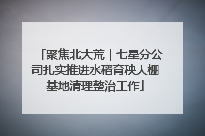 聚焦北大荒｜七星分公司扎实推进水稻育秧大棚基地清理整治工作
